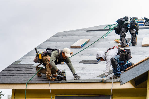 Professional Gutter Installation technician working in Roscoe, TX